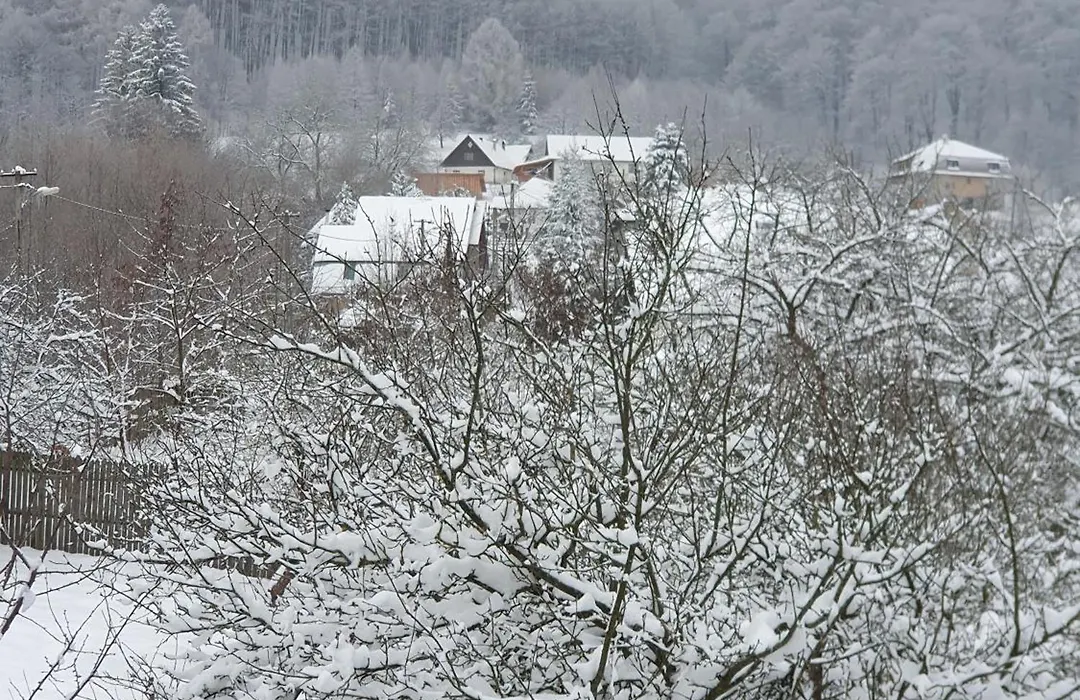 Pensiunea CAPRA CU TREI IEZI-1